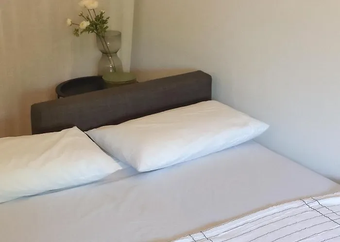 Stylish & Cozy Studio